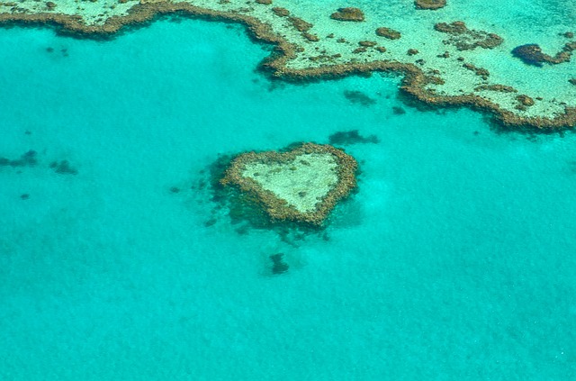 Great Barrier Reef. Australien